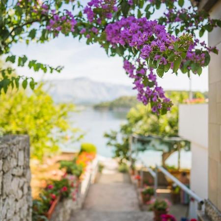 Apartments By The Sea Lumbarda, Korcula - 4446 Eksteriør billede