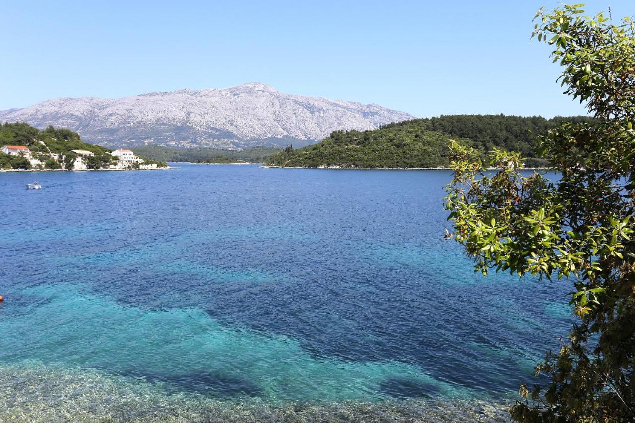 Apartments By The Sea Lumbarda, Korcula - 4446 Eksteriør billede